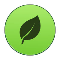 MongoDB