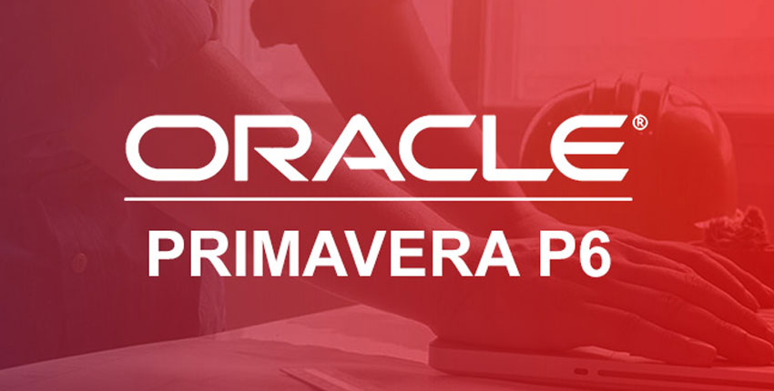 Primavera P6